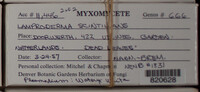 Image Associated With the Occurence
